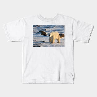 Polar Bear on the Tundra, Churchill, Canada Kids T-Shirt